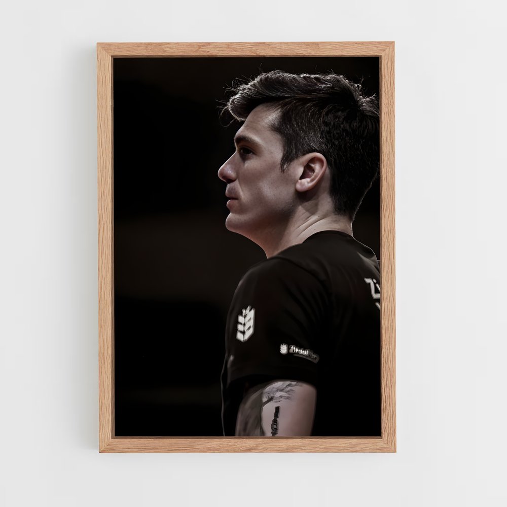 Poster Matt anderson – affiche Volleyball (vue 4)